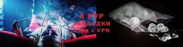 spice Куйбышев