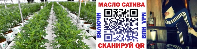 Купить закладки  Спасск  ТГК THC oil 